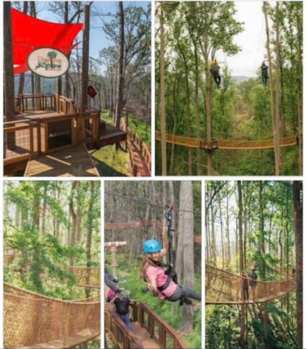 Participants gear up on a zipline platform, with suspension bridges stretching through lush treetops beneath a bright sky. The scene radiates excitement and the spirit of outdoor adventure.