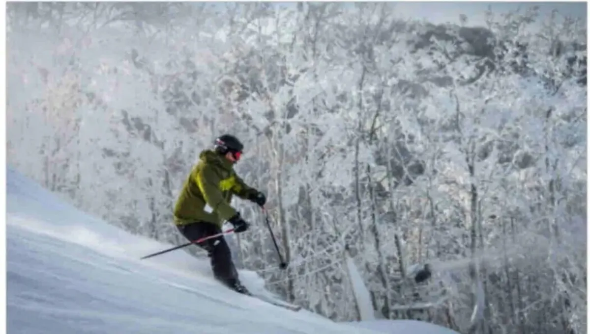 A skier descends a snow-covered slope, framed by frosty trees and dramatic mountain scenery. The image captures a moment of action and excitement, bringing the thrill of winter sports to life.